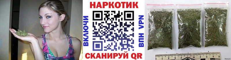 Альфа ПВП Пыталово