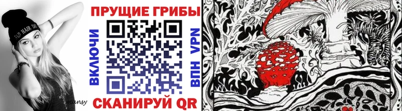 Псилоцибиновые грибы MAGIC MUSHROOMS omg ONION Пыталово цена